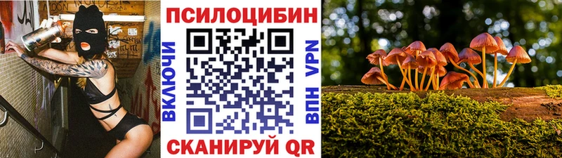KRAKEN tor  Шилка  Галлюциногенные грибы Cubensis 